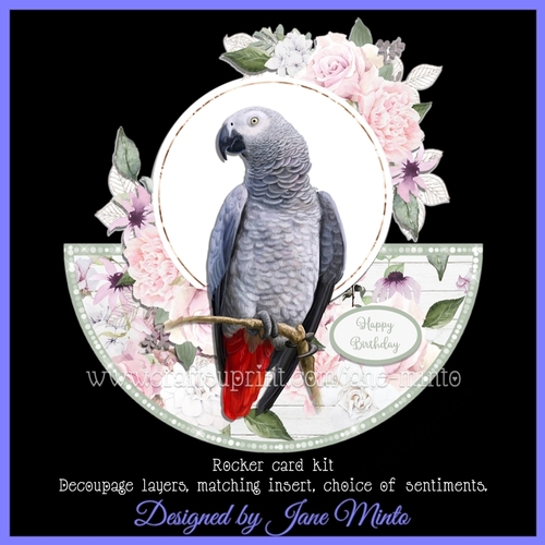 PRETTY BIRD 4 rocker card