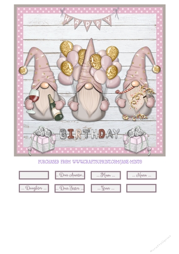 BIRTHDAY GNOMES - pink - QUICK CARD