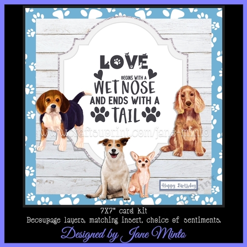 WET NOSES - mini kit