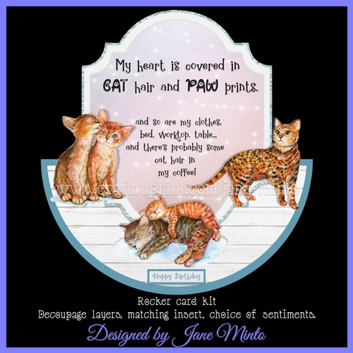 CAT HAIR ROCKER CARD