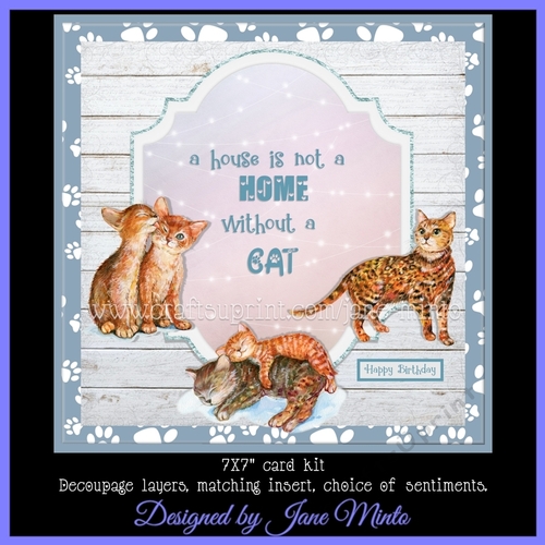 HOUSE NOT A HOME 