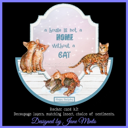 HOUSE OF CATS