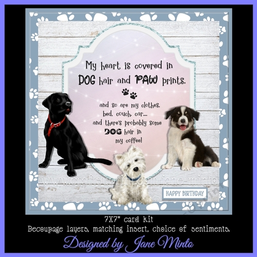 DOG HAIR - mini kit