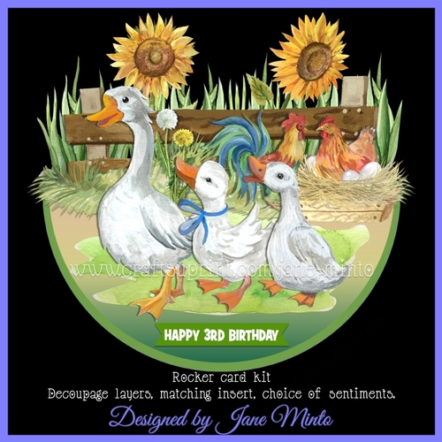FEATHERED FRIENDS rocker card