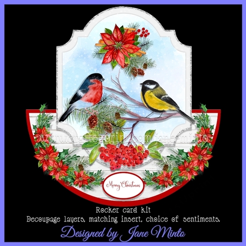 WINTER BIRDS rocker card