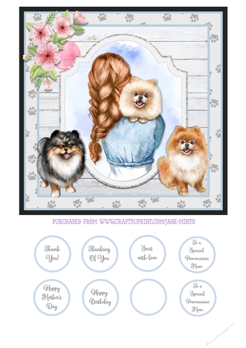 LOVE MY POMERANIAN quick card