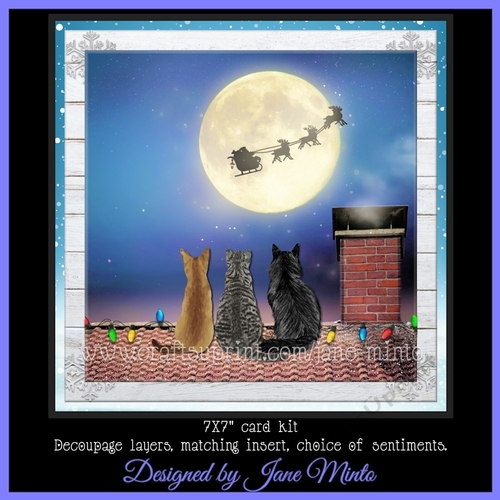 CHRISTMAS EVE CATS