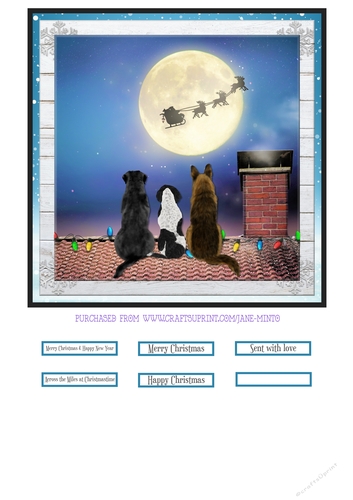 CHRISTMAS EVE DOGS quick card