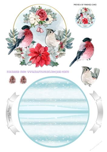 CHRISTMAS BIRDS rocker card 