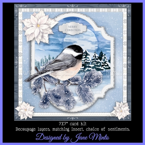 WILD CHRISTMAS - BIRD