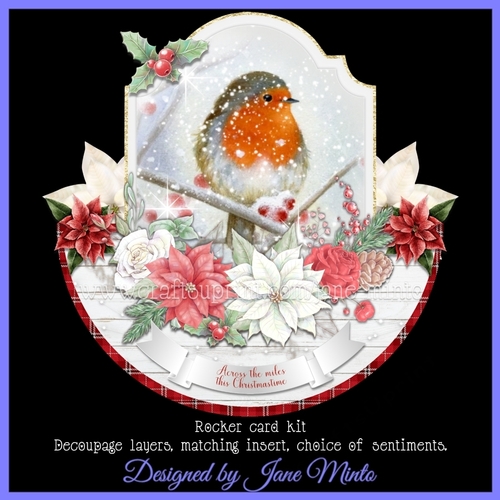ROBIN ROCKER rocker card 3