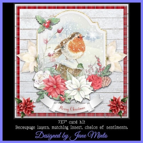 CHRISTMAS ROBIN 6