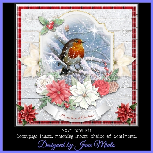 CHRISTMAS ROBIN 7