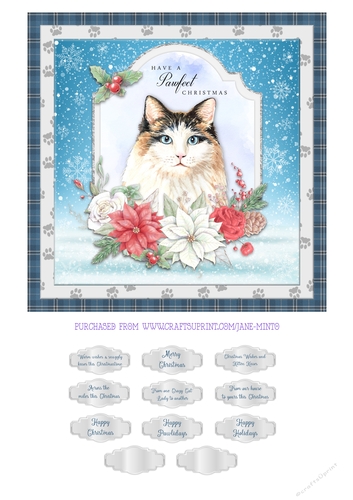 BLUE EYED BEAUTY quick card