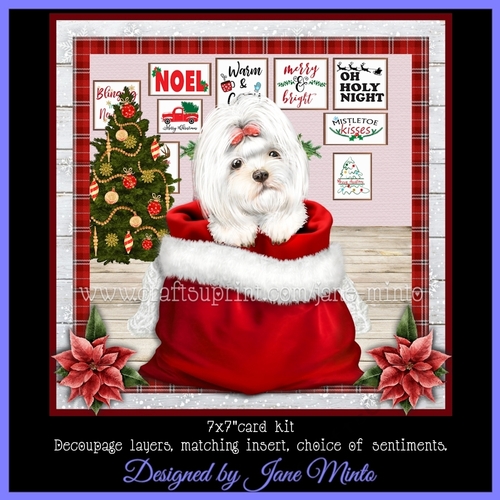 CHRISTMAS MALTESE mini kit