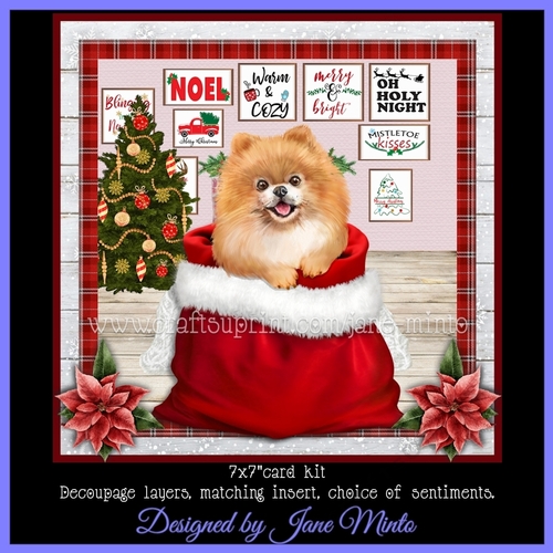 CHRISTMAS  POMERANIAN mini kit