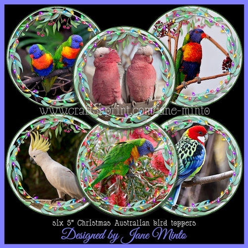 CHRISTMAS TOPPERS - BIRDS