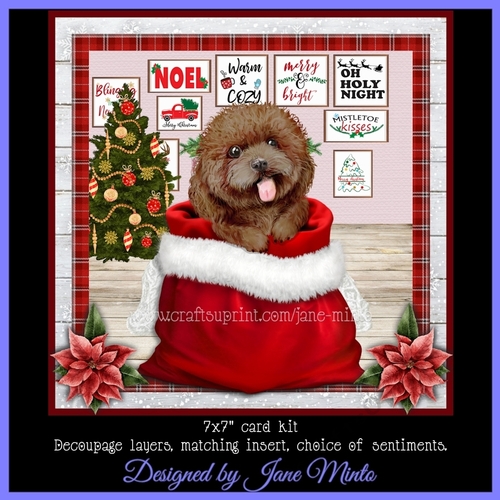 CHRISTMAS BROWN POODLE