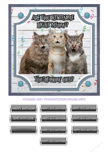 ARE YOU KITTEN ME? quick card