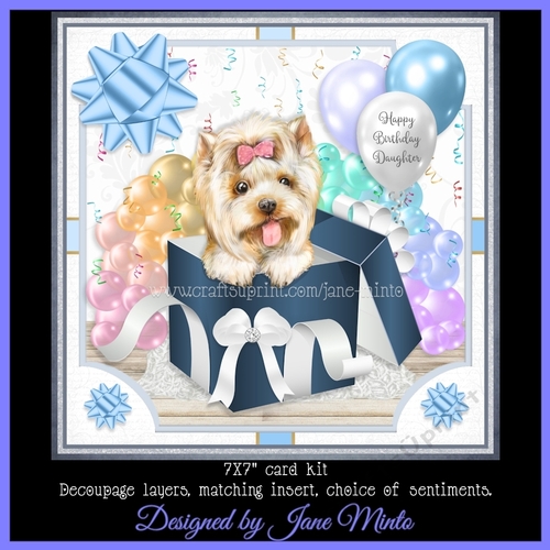 GIFT BOX YORKSHIRE TERRIER