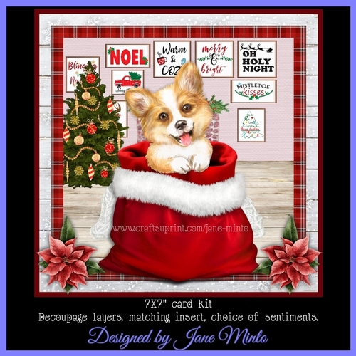 CHRISTMAS CORGI mini kit