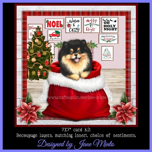 CHRISTMAS POMERANIAN mini kit