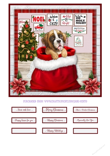 CHRISTMAS PUPPY - BOXER - quick card