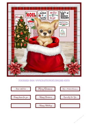 CHRISTMAS PUPPY - CHIHUAHUA - quick card