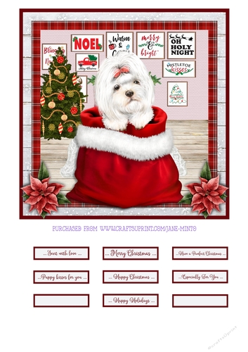 CHRISTMAS PUPPY - MALTESE - quick card