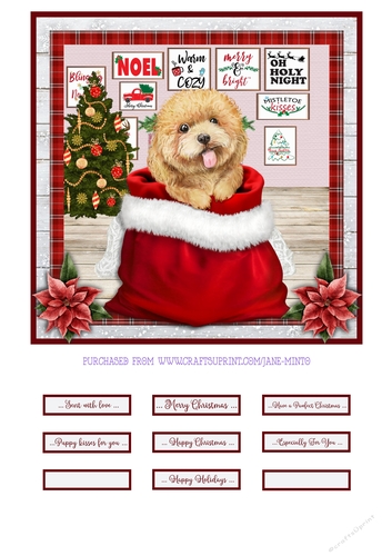 CHRISTMAS PUPPY - POODLE - quick card