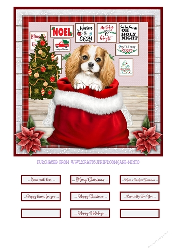 CHRISTMAS PUPPY - SPANIEL - quick card