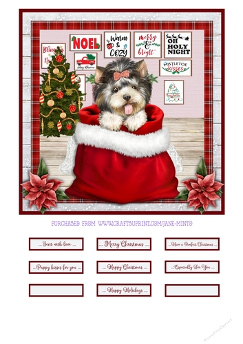 CHRISTMAS PUPPY - YORKIE 1 - quick card