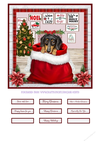 CHRISTMAS PUPPY - DACHSHUND - quick card