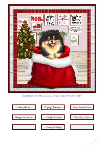 CHRISTMAS PUPPY - POMERANIAN 2 - quick card