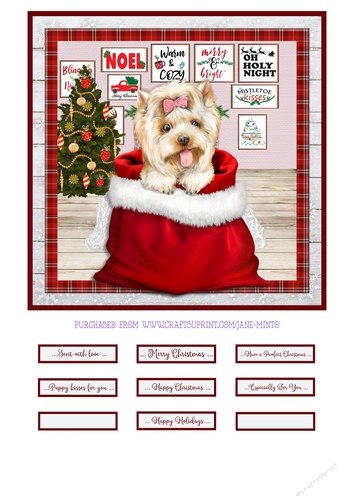 CHRISTMAS PUPPY - YORKIE 2 - quick card