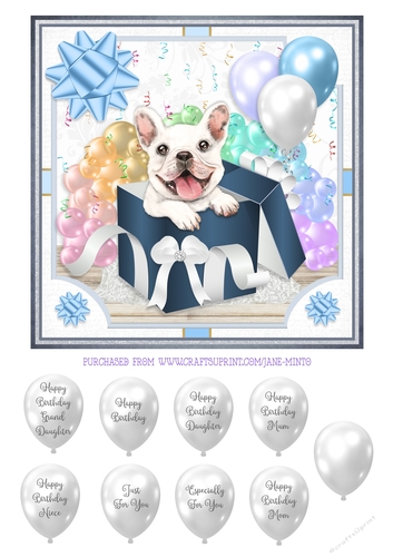 FRENCHIE - GIFT BOX PUPPY