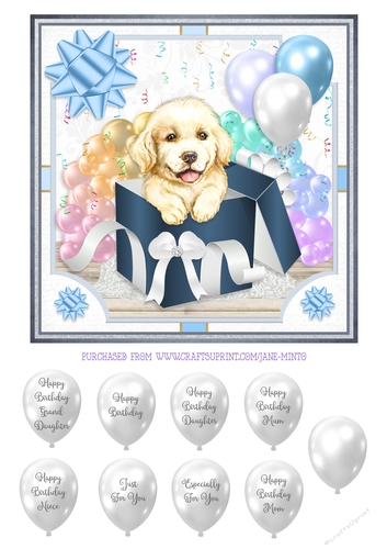 GOLDEN RETRIEVER - GIFT BOX PUPPY