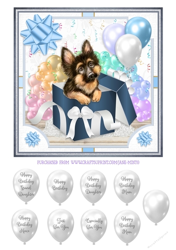 GERMAN SHEPHERD - GIFT BOX PUPPY