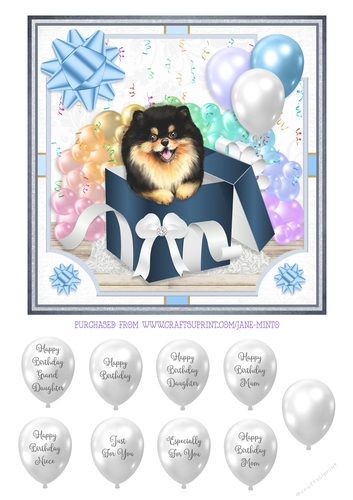 POMERANIAN - GIFT BOX PUPPY