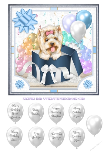 YORKIE - GIFT BOX PUPPY