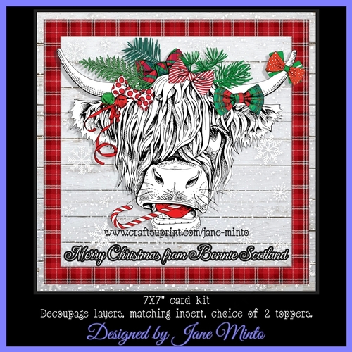 CHRISTMAS HIGHLAND COO