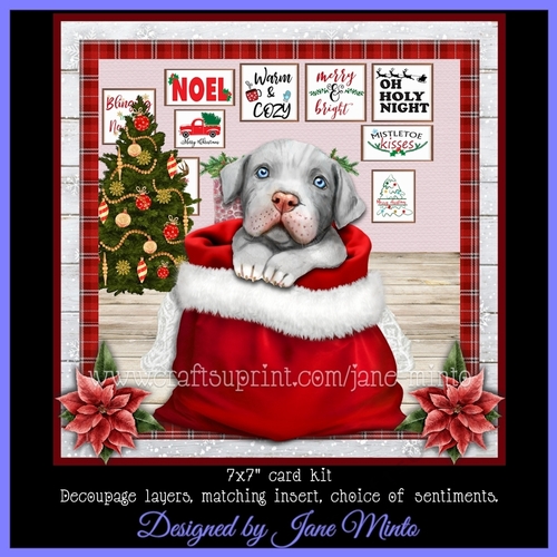 CHRISTMAS PITBULL 2