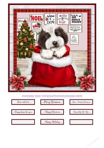 CHRISTMAS LABRADOODLE quick card