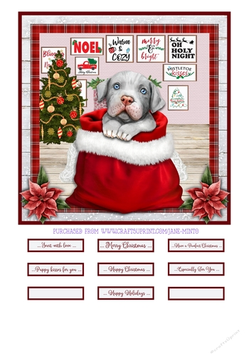 CHRISTMAS PITBULL 2 quick card
