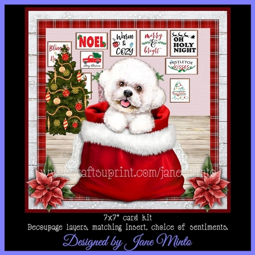 CHRISTMAS BICHON FRISE mini kit