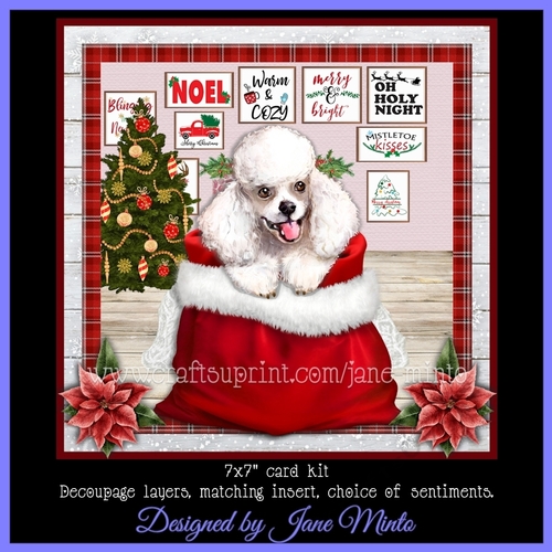 CHRISTMAS WHITE POODLE mini kit