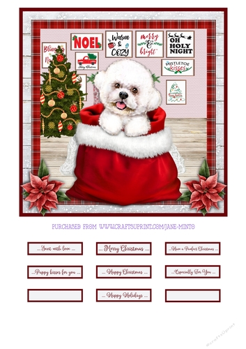 CHRISTMAS BICHON FRISE quick card