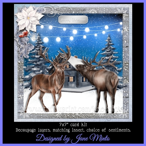 A WINTERS NIGHT - NOISY NEIGHBOURS