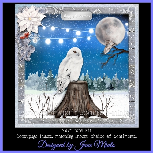 A WINTERS NIGHT - WHITE OWL