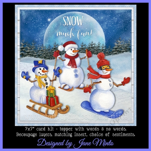 SNOW MUCH FUN 7x7